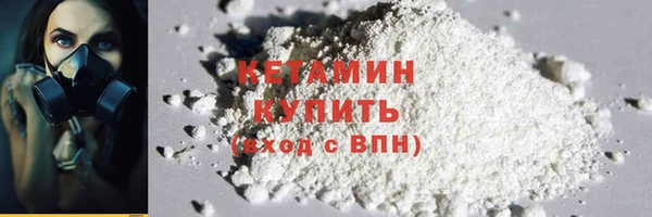 стаф Алзамай