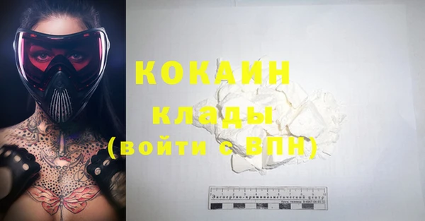 стаф Алзамай
