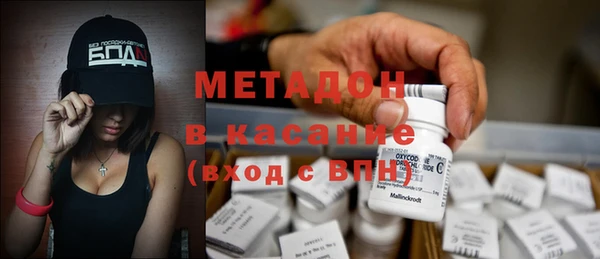 стаф Алзамай