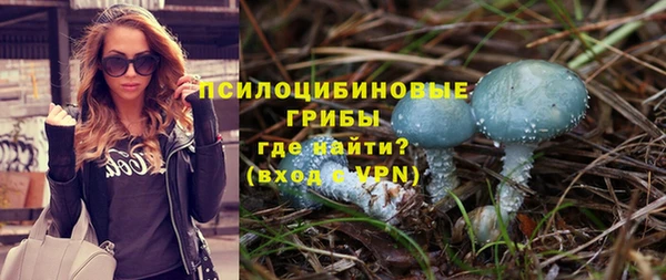стаф Алзамай