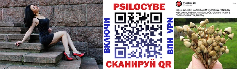 блэк спрут как зайти  Кострома  Псилоцибиновые грибы Magic Shrooms  как найти закладки 